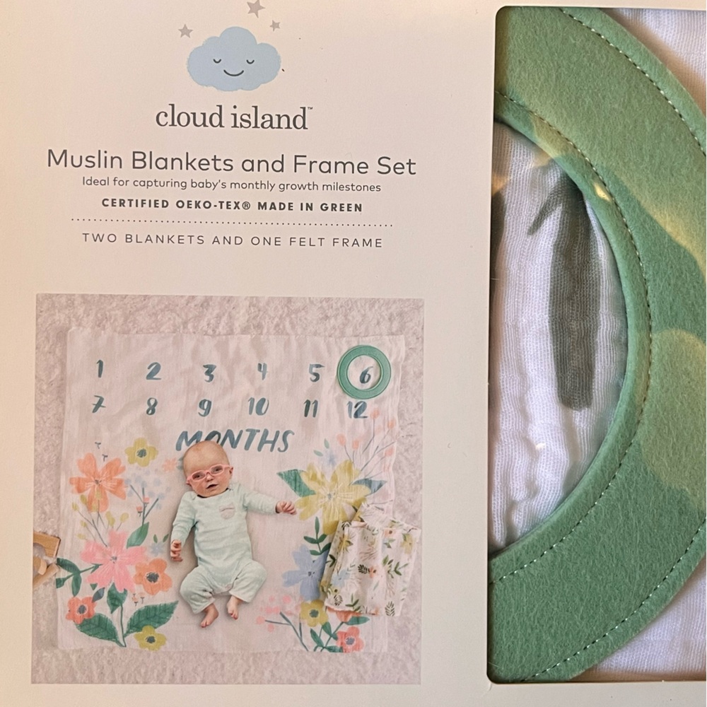 Cloud Island Mint Muslin Blanket and Frame Set